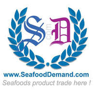  - Công Ty CP Xuất Nhập Khẩu Seafood Travel Construction